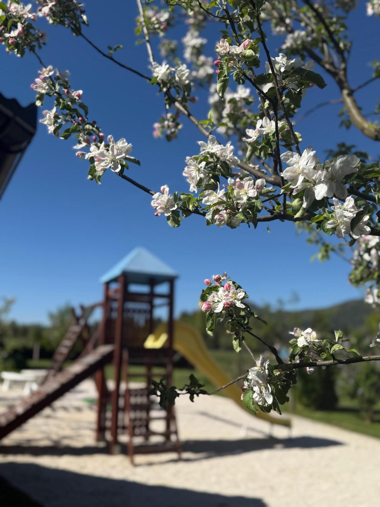 Plitvice Pension Perisic كورينيتسا المظهر الخارجي الصورة